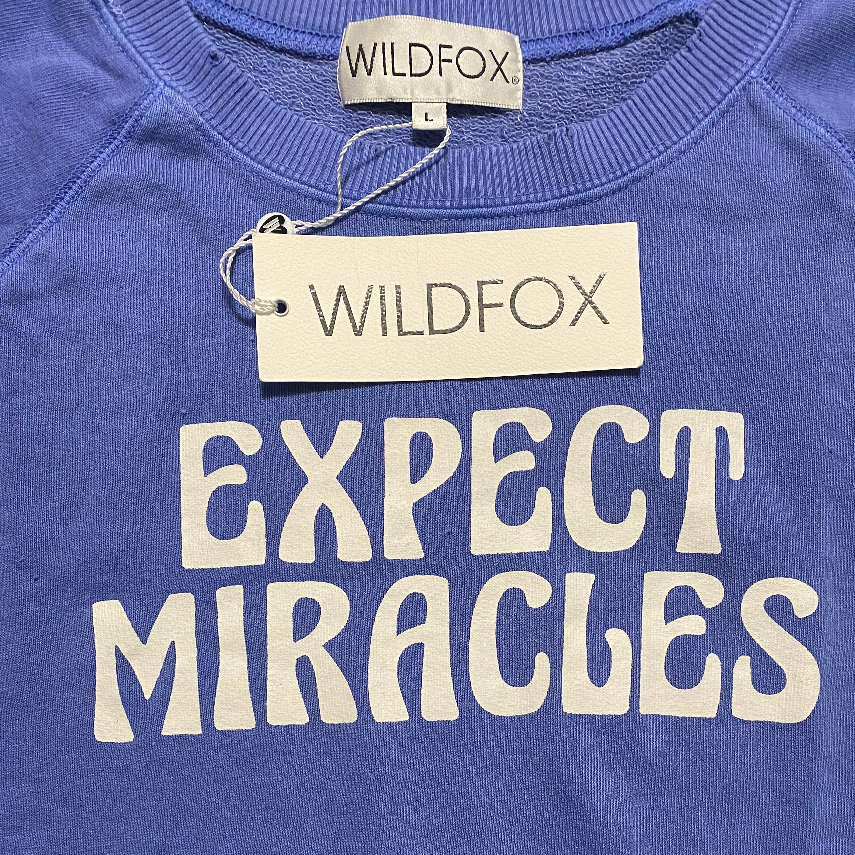 Wildfox over hotsell it sweatshirt